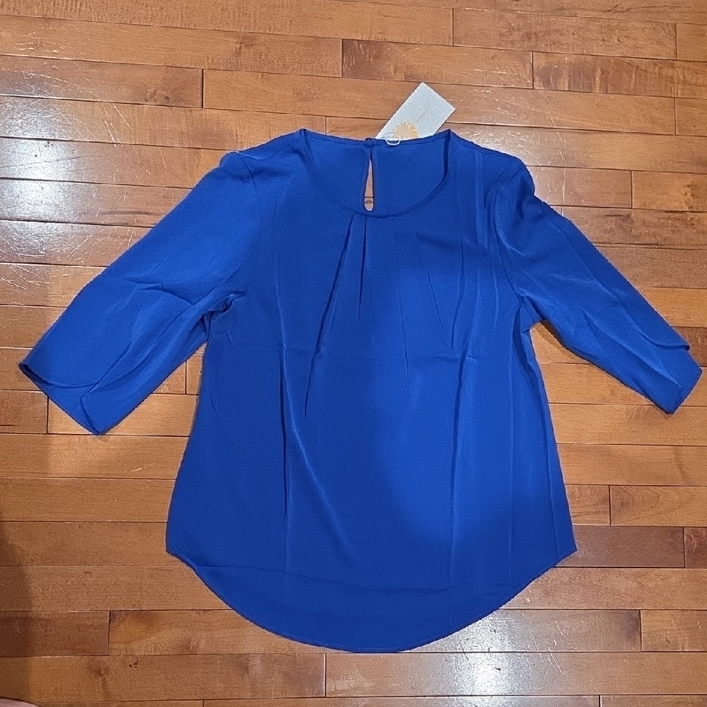 Elegant Blue Women's Top